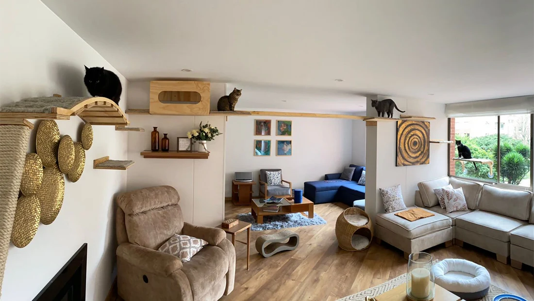 Mascota en mueble elegante